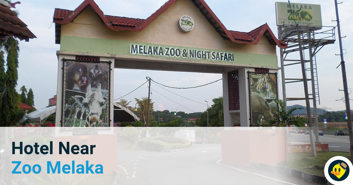 Hotel Near Zoo Melaka Featured Image